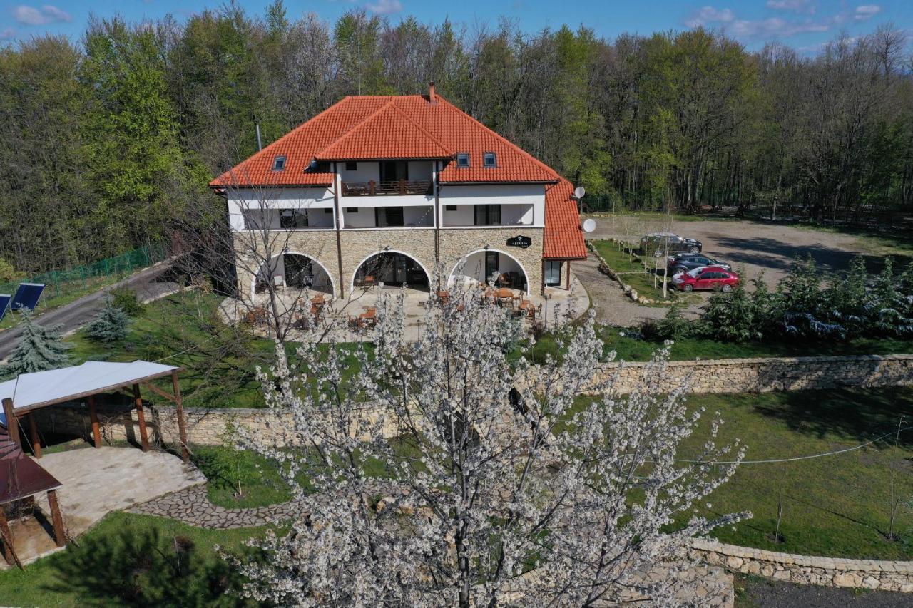 Cetatuia Hotell Măgura Eksteriør bilde