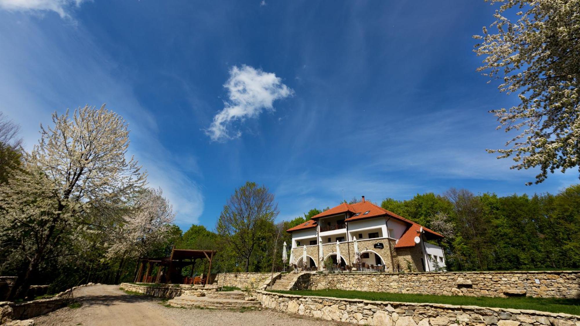 Cetatuia Hotell Măgura Eksteriør bilde